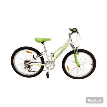 Malvern star Roxy Bike - 24